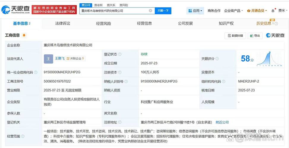 为王鹏飞,注册资本100万人民币,经营范围包括咨询策划服务